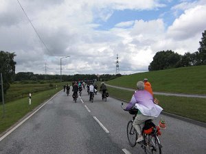 Fahrradsternfahrt Hamburg Tierfreund23 817